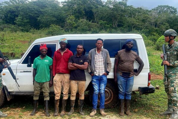 En Pedernales detienen inmigrantes indocumentados en jeepeta con placa haitiana